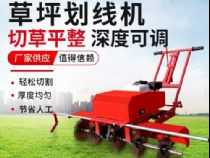 點(diǎn)擊查看詳細(xì)信息<br>標(biāo)題：草皮劃線機(jī) 閱讀次數(shù)：2434